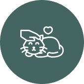 Specialized Senior  Cat Care